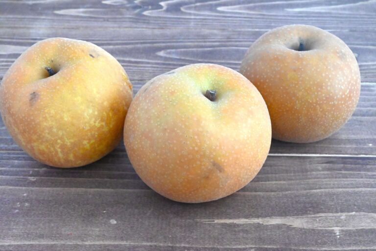 【旬食材】なしを常温に置かないで！2週間後もおいしさキープする保存方法＆簡単レシピ2選