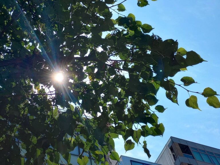 とにかく疲労回復したい！夏バテでも食べやすい食材を食育インストラクターが解説