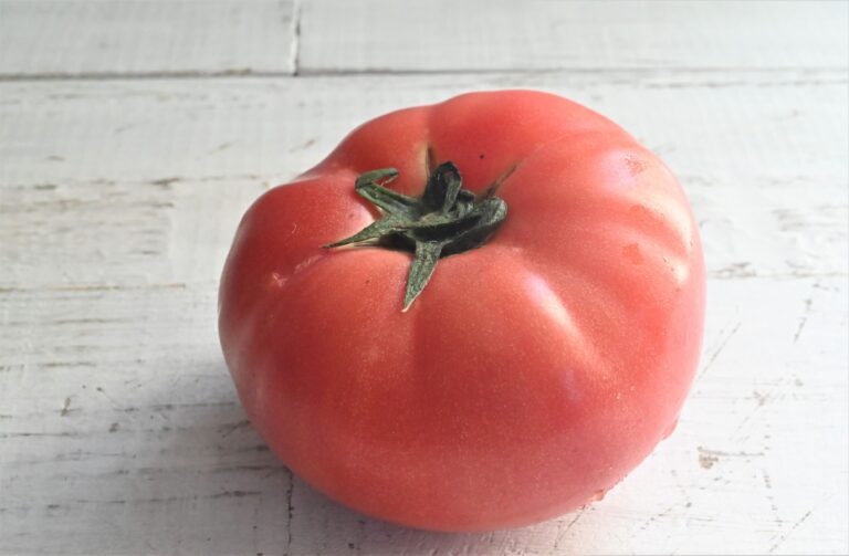 【旬食材】メイン食材トマトだけ！トマトの和え物を和・洋・中で味わおう♪簡単レシピ3選