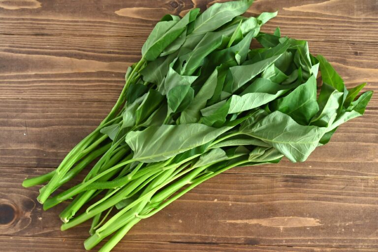【旬食材】ほうれん草よりすごい⁉炒めて・ゆでて・生でもおいしい！「空心菜」が主役の1袋使い切り♪簡単レシピ3選