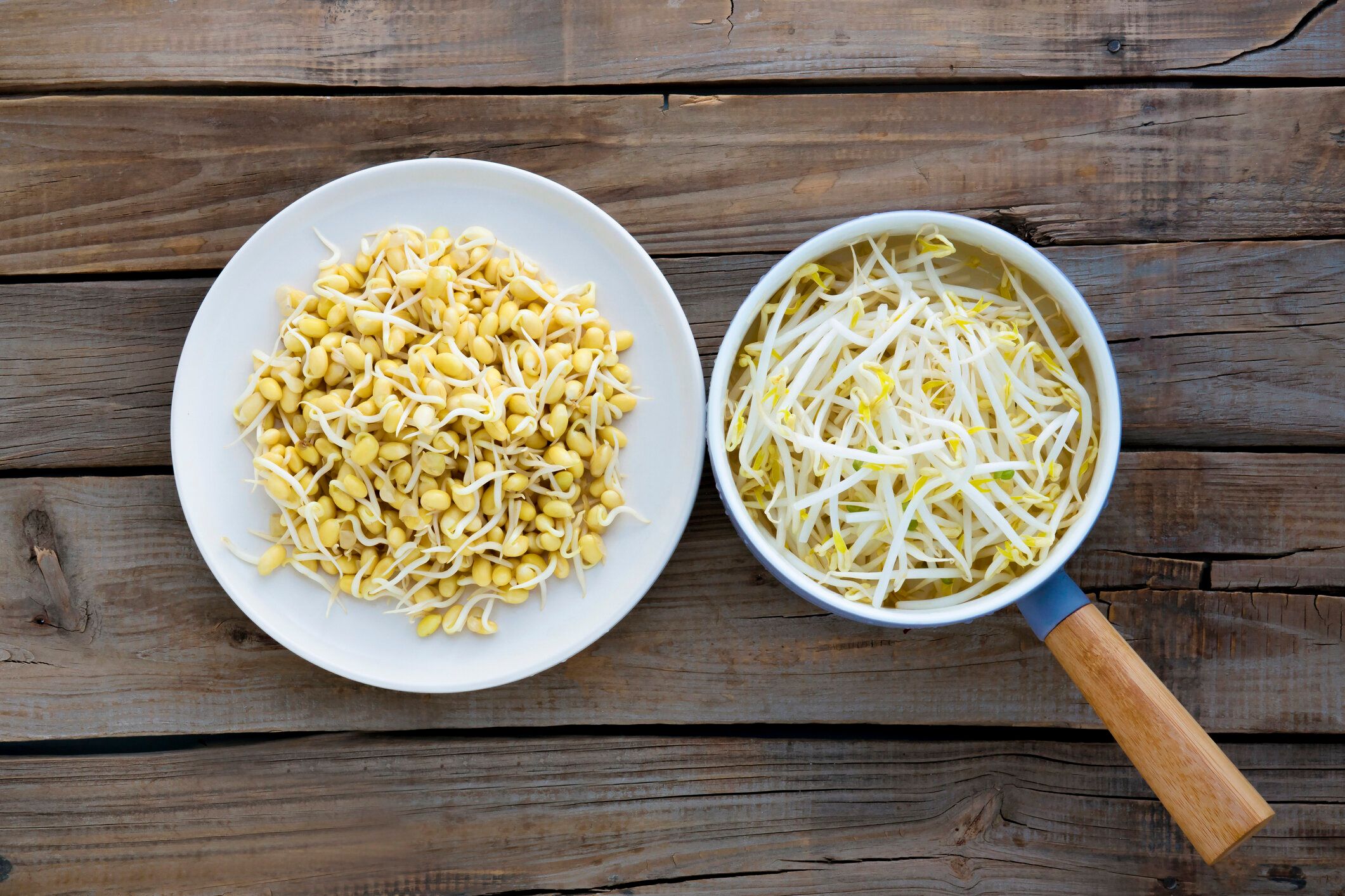 新鮮な大豆のもやしと生まれたもやし。