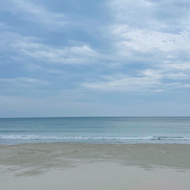 【転勤族の妻】大変なだけじゃない！転勤族の妻のメリット7選