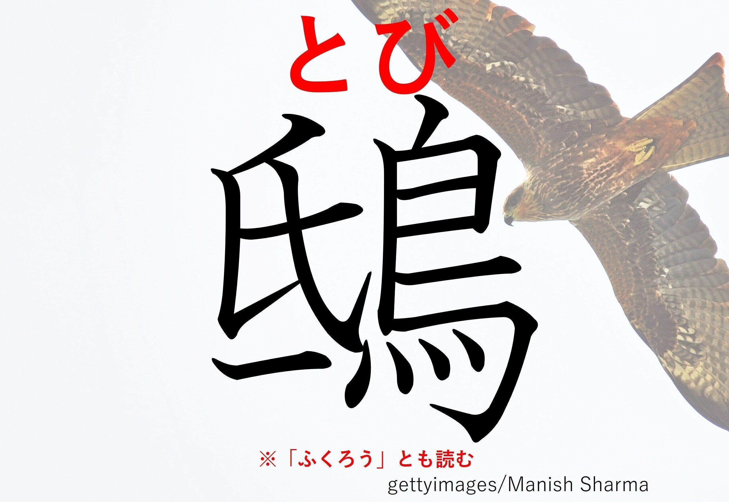 正解は「とび」でした！