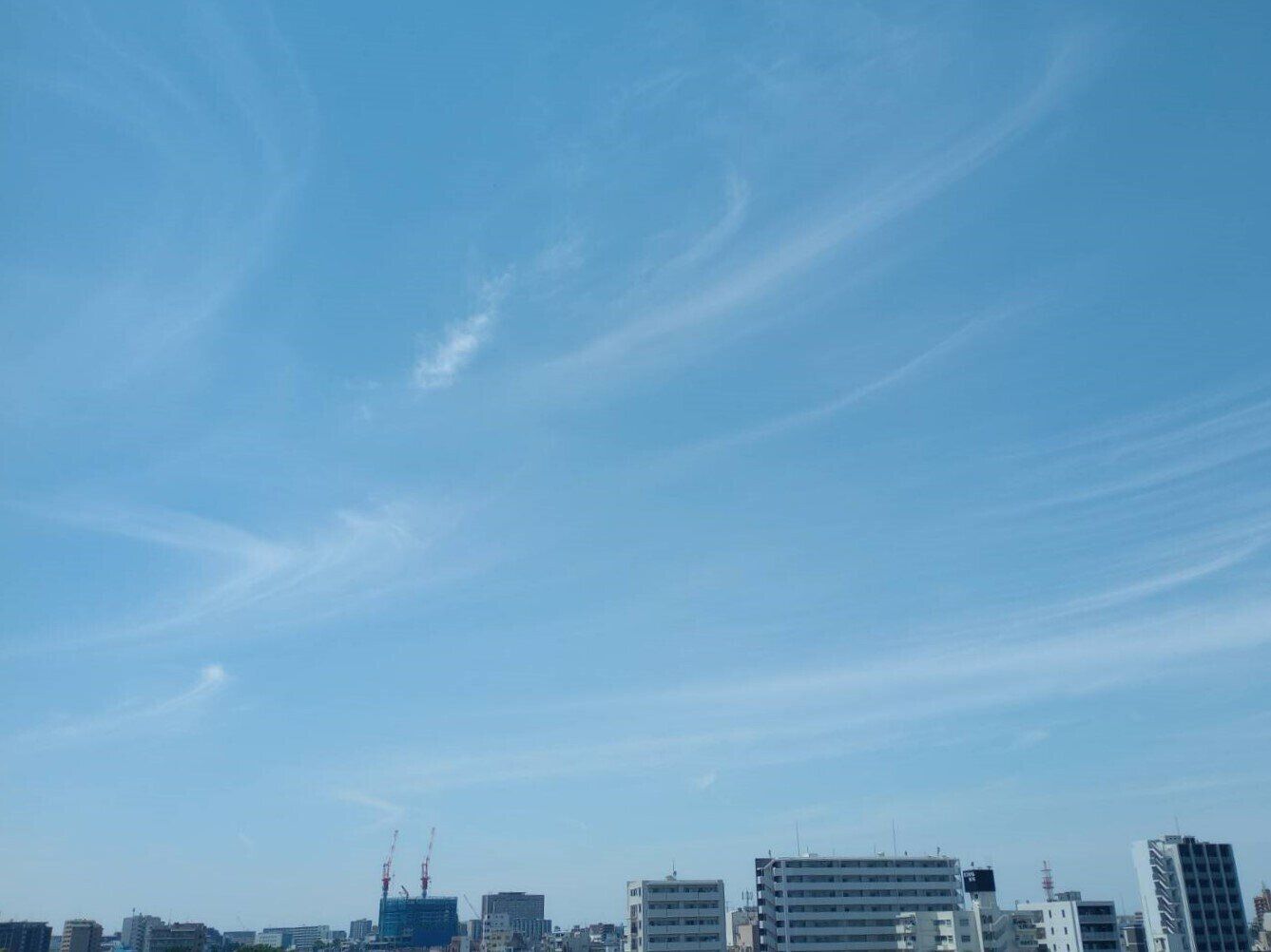 秋の空に浮かぶ筋雲