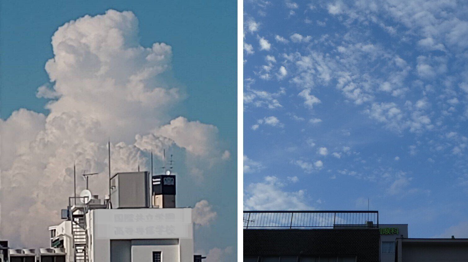 夏の入道雲と秋のうろこ雲