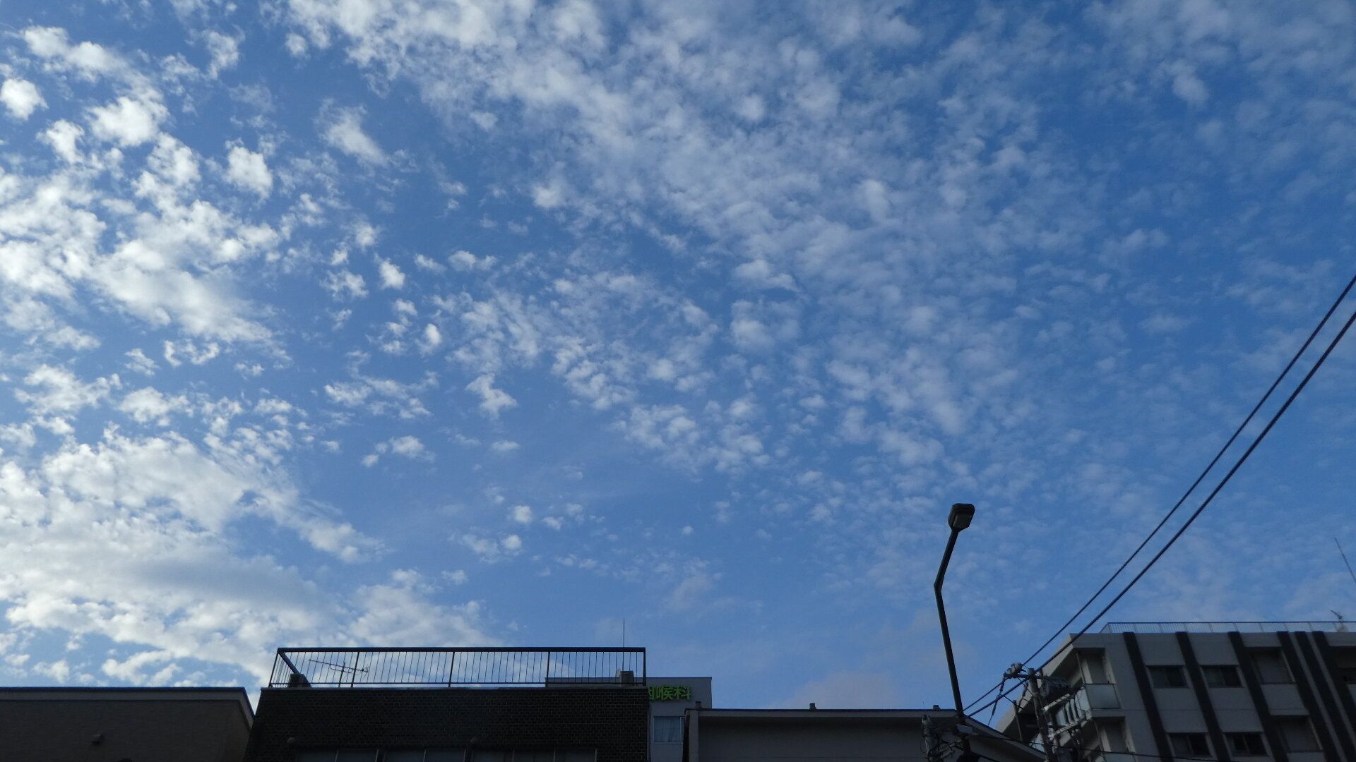 青空とうろこ雲