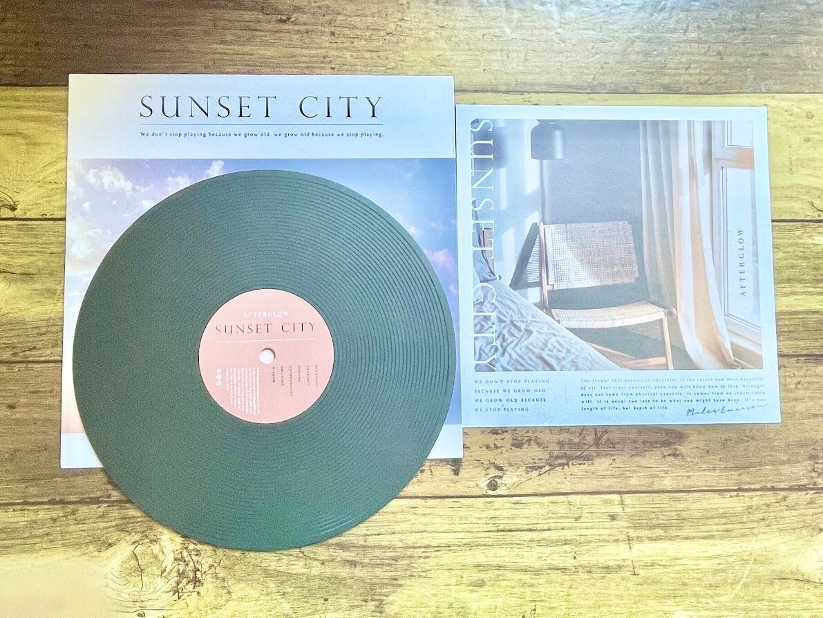 フェイクレコードの中身