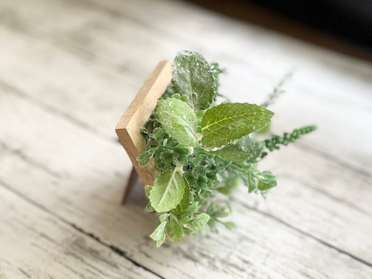 【セリア】110円でイイんですか!?高見えでアレンジもできるフェイクグリーンがおすすめ