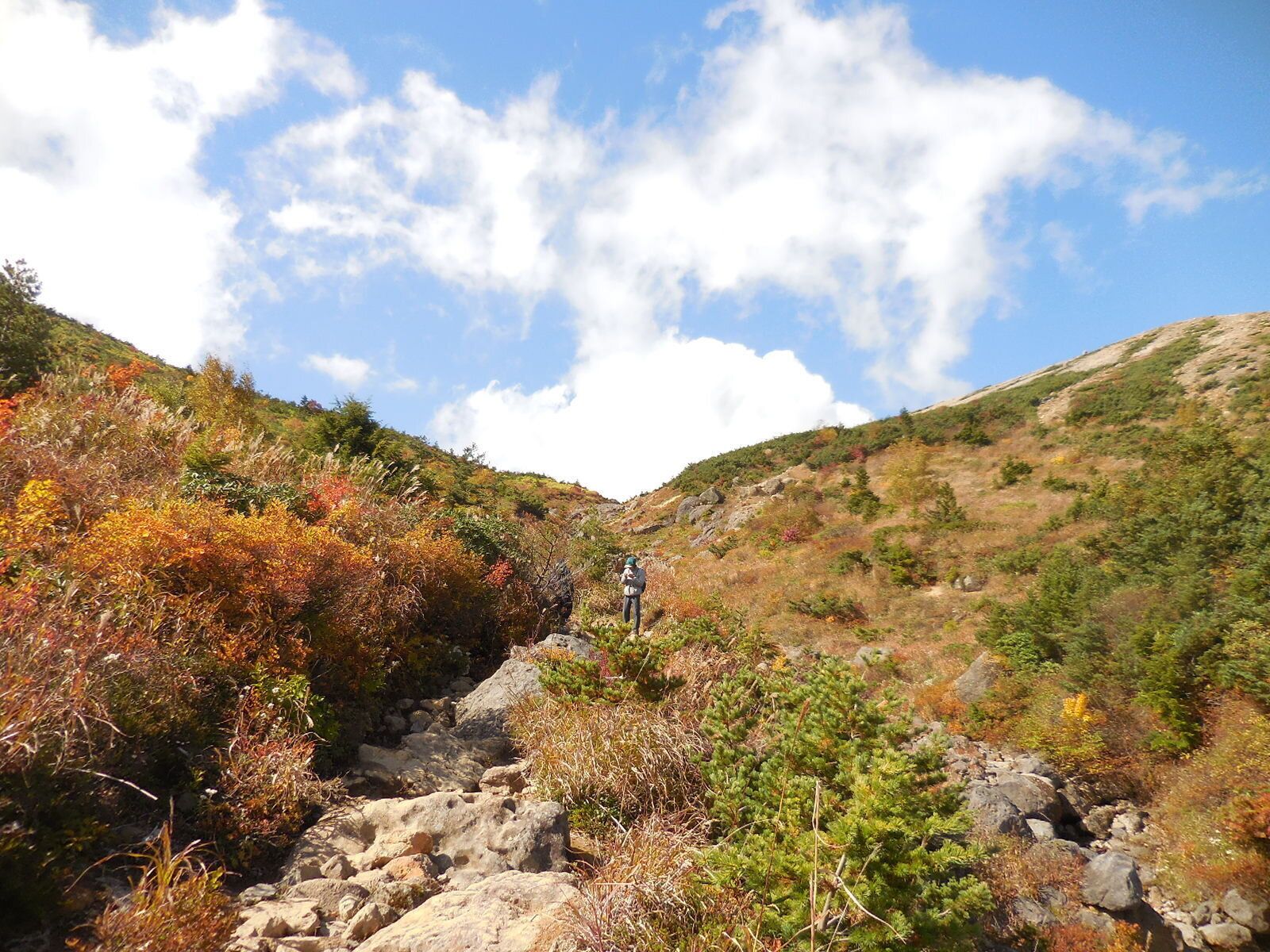 福島県の浄土平の草紅葉