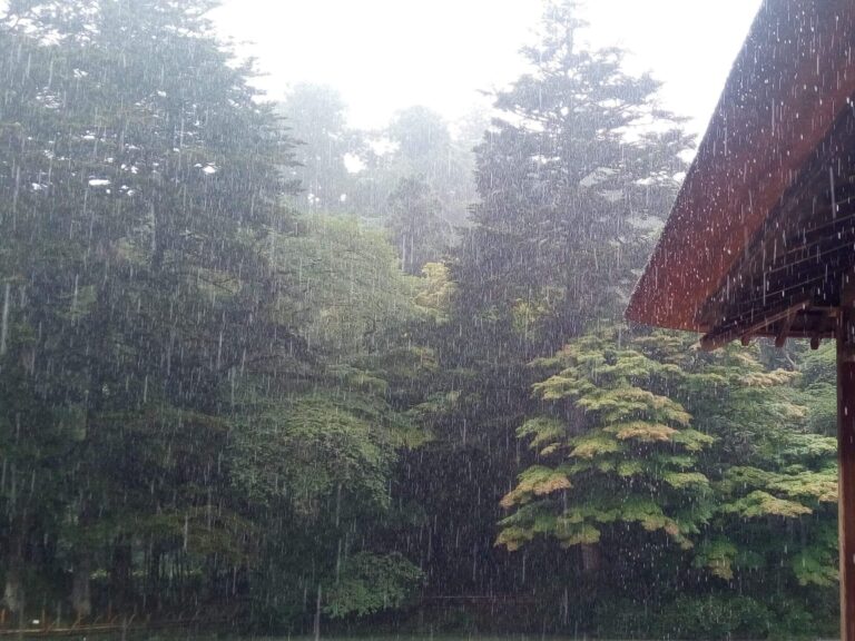 梅雨と秋雨はどちらが雨多い？あなたの地域の傾向をチェック！気象予報士解説