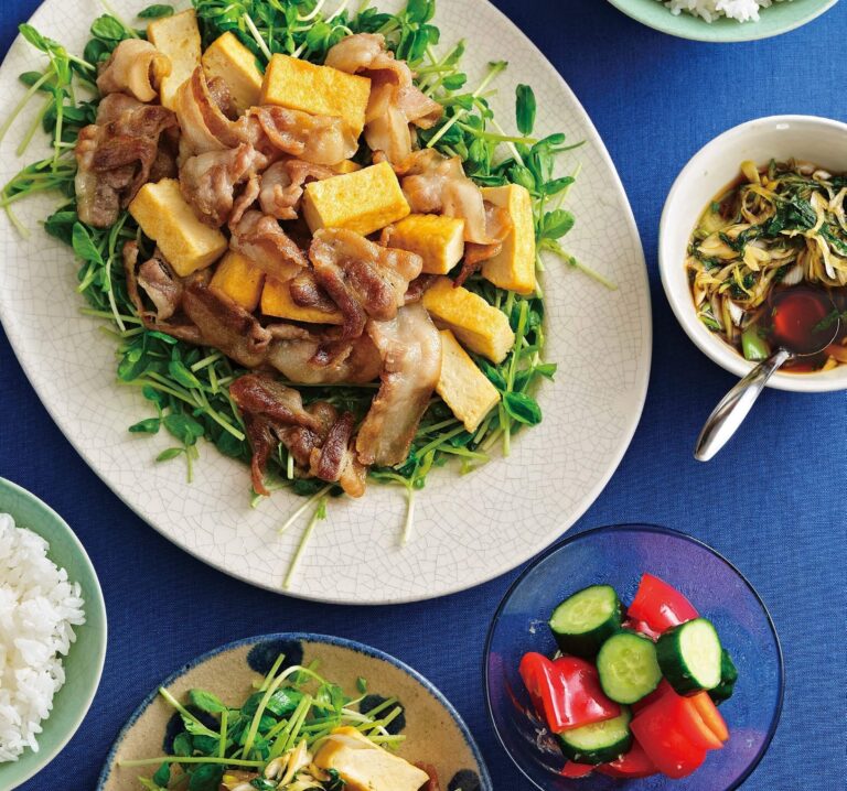 20分で主菜、副菜！『豚バラ肉と厚揚げの炒めもの しそだれがけ』『きゅうりとパプリカのしょうが甘酢漬け』