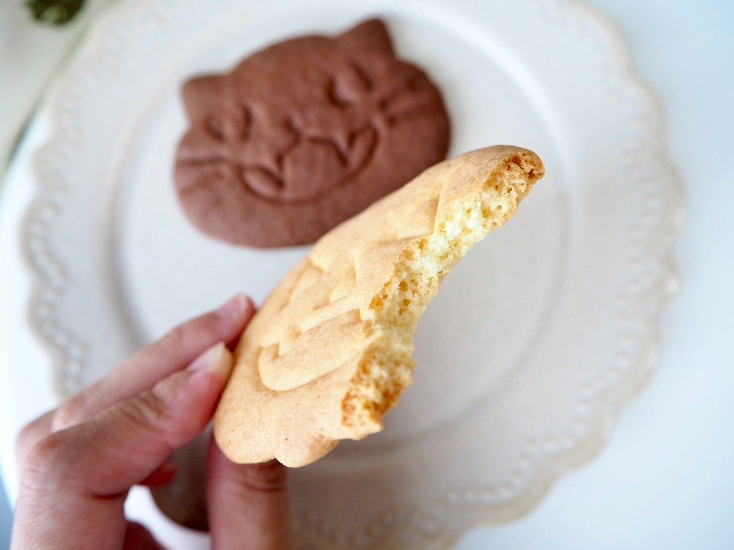 シャトレーゼ「ハロウィンサブレ」手で割っています