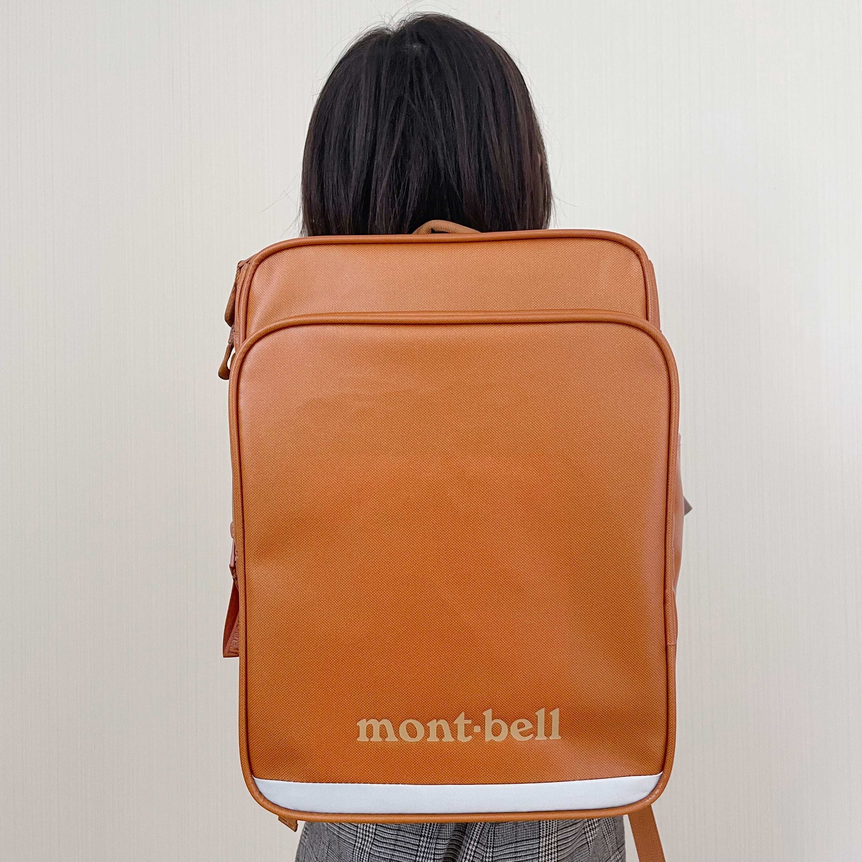 複数のきっかけが重なり購入に踏み切れた