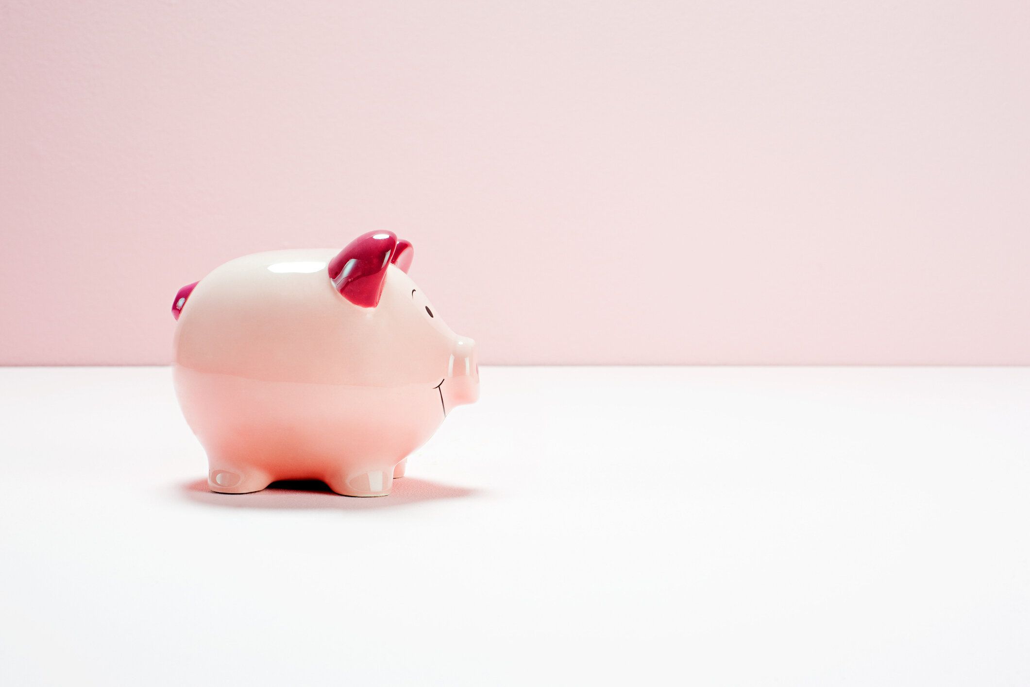 ピンクピギー銀行、スタジオ撮影