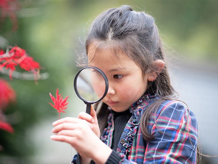 学びの舞台は自然！子どもの知的好奇心を思いっきり伸ばす秋のキャンプ術