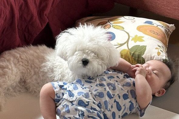 かわいいの渋滞！手が離せない状況で聞こえた息子の「ぴえーん」という泣き声、止めてくれたのは小さな家族だった