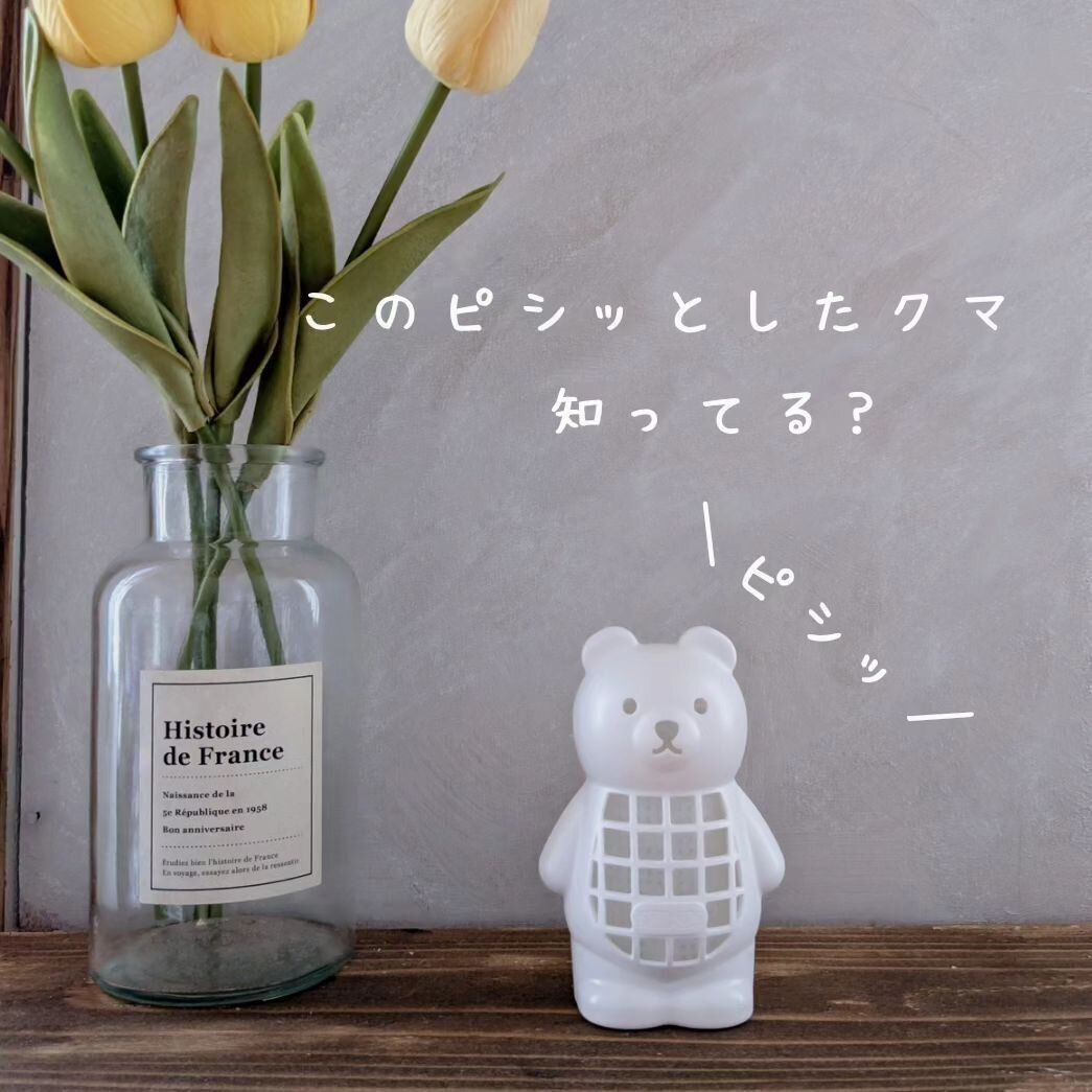 【セリア】ピシッとしているクマ