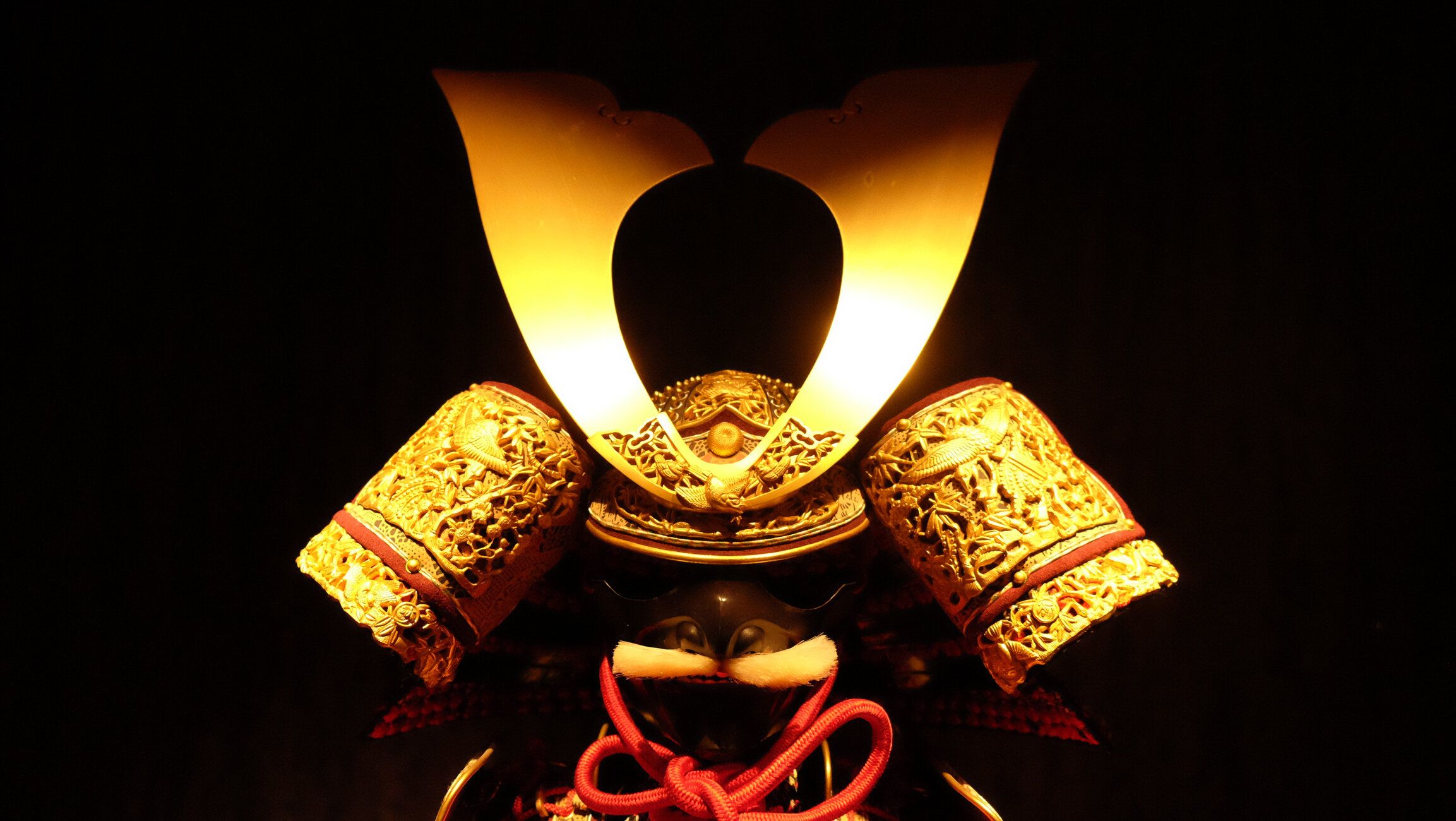 これは勇者のためだけです。