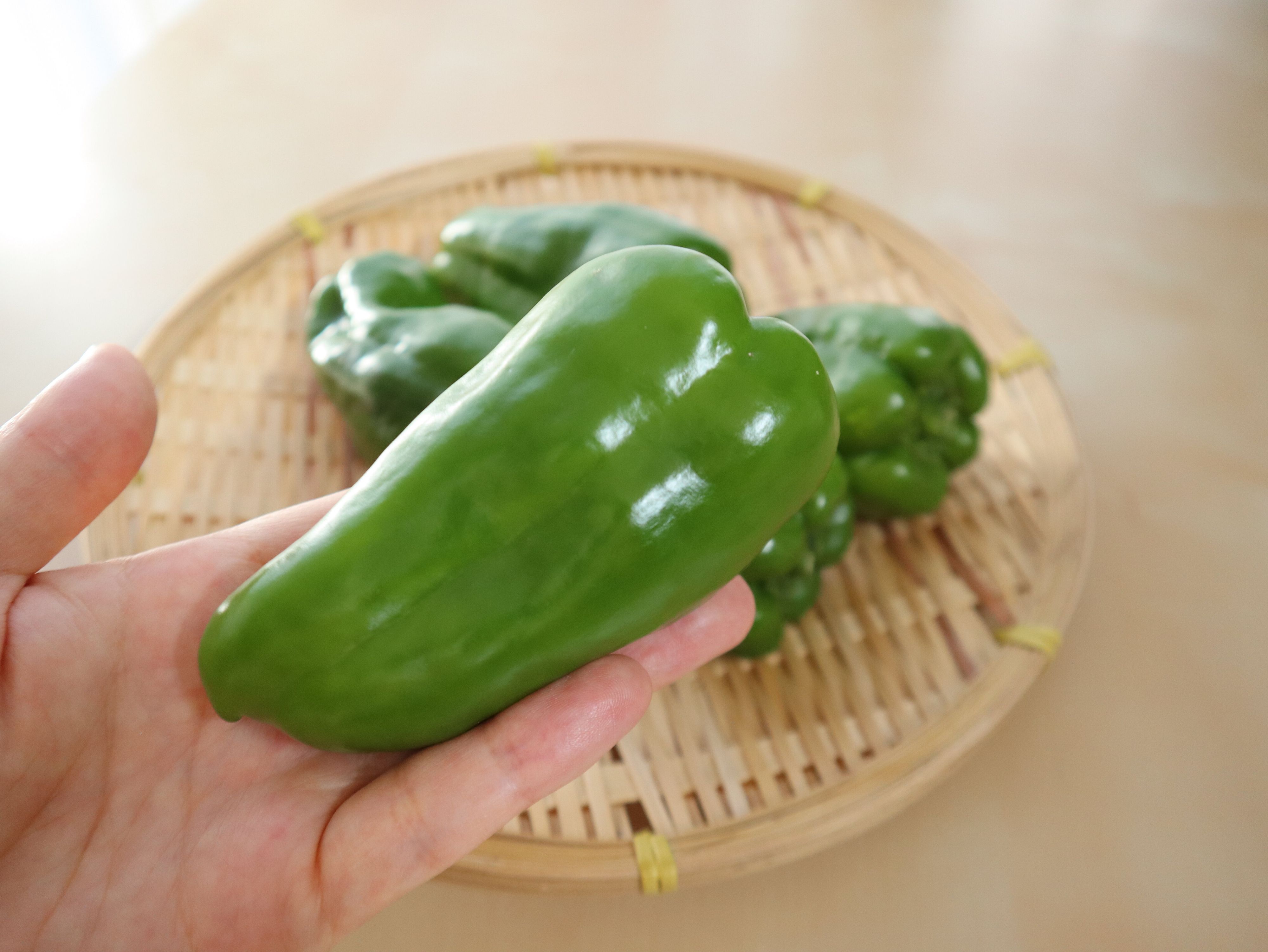 濃い緑でツヤがある