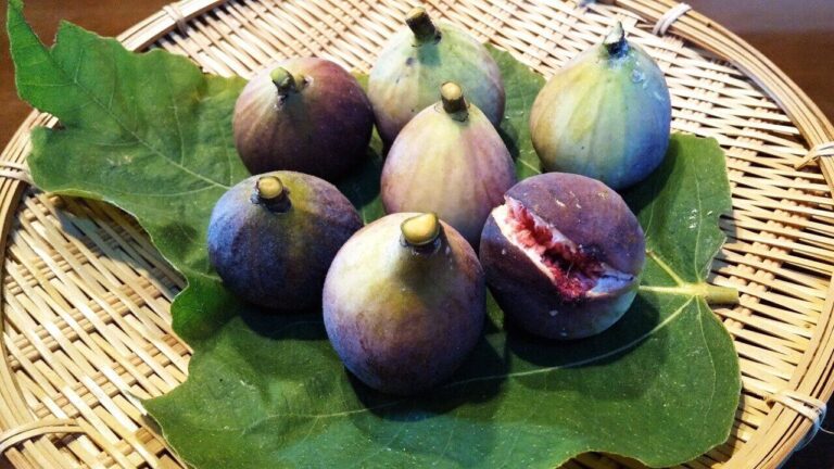 「いちじく」の皮をペロリときれいに外して食べる方法を伝授！これを知っていれば、3秒でかぶりつきOK！