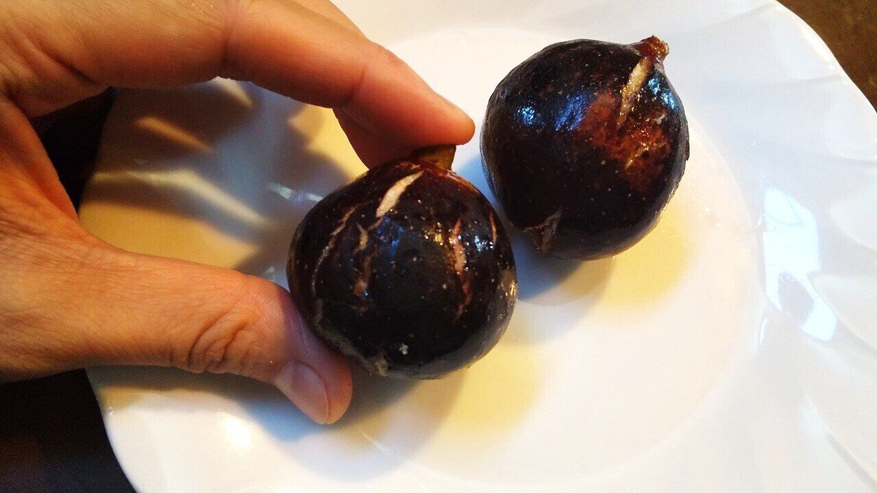 いちじくの皮