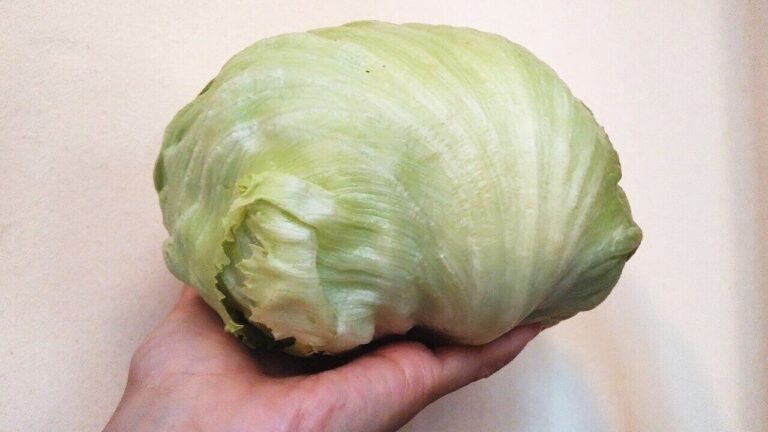 「レタス」をたくさん消費するなら、サラダよりもスープに！栄養たっぷりな外側の葉も一緒においしく変身！