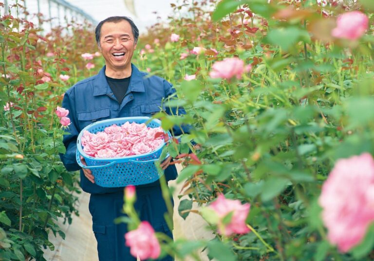 ナリスローズガーデン「バラ栽培は子育てのよう」棘と茎にも美容成分を発見！減農薬にも挑戦中