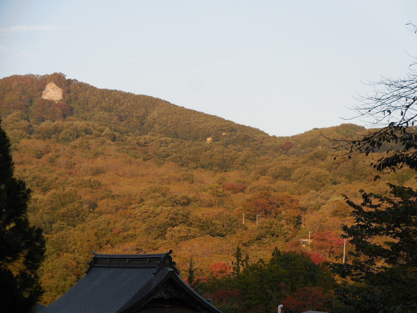 宮城県の定義山の紅葉