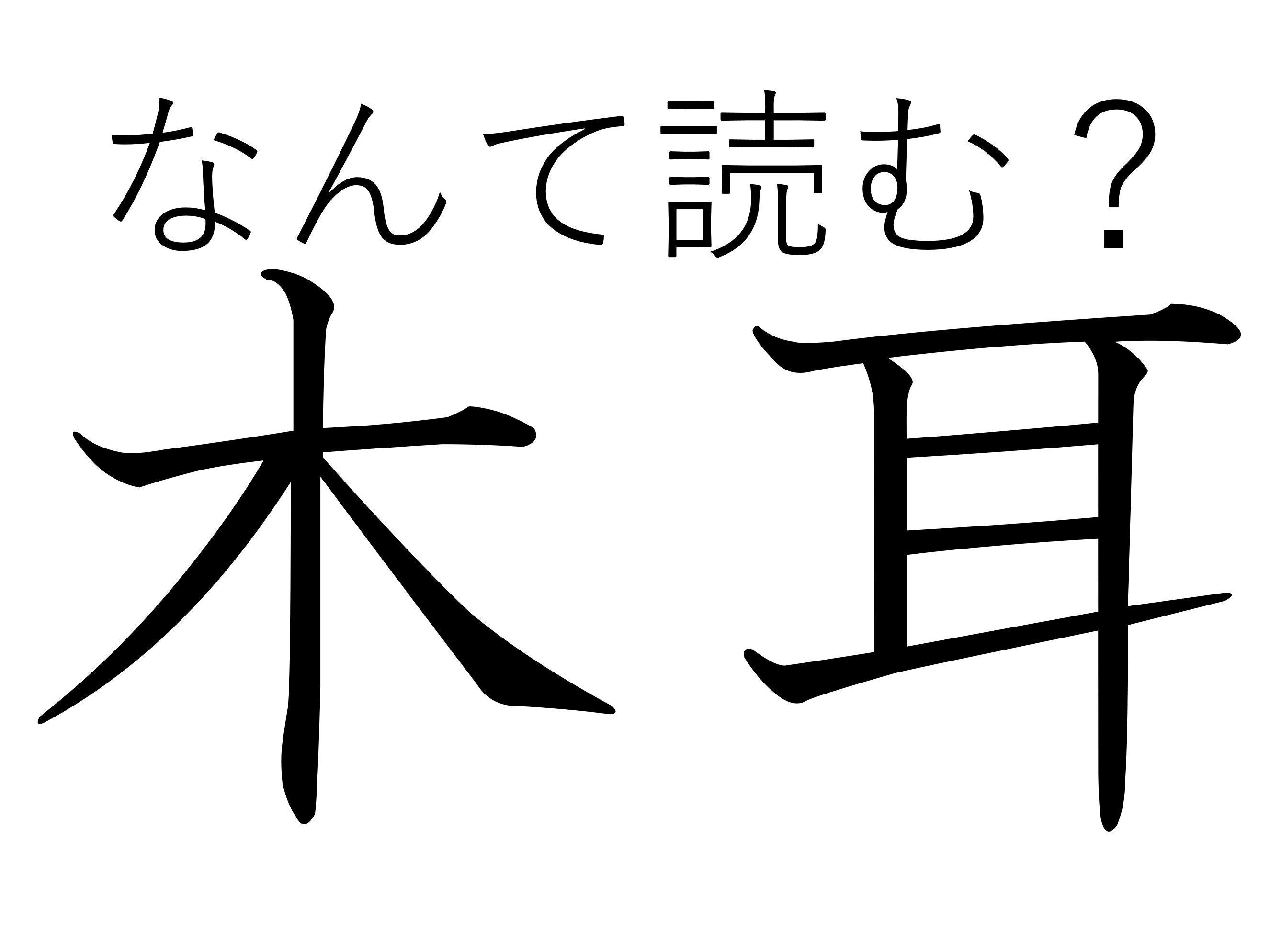 森と中華街で探してみよう!難読漢字「木耳」はなんて読む?