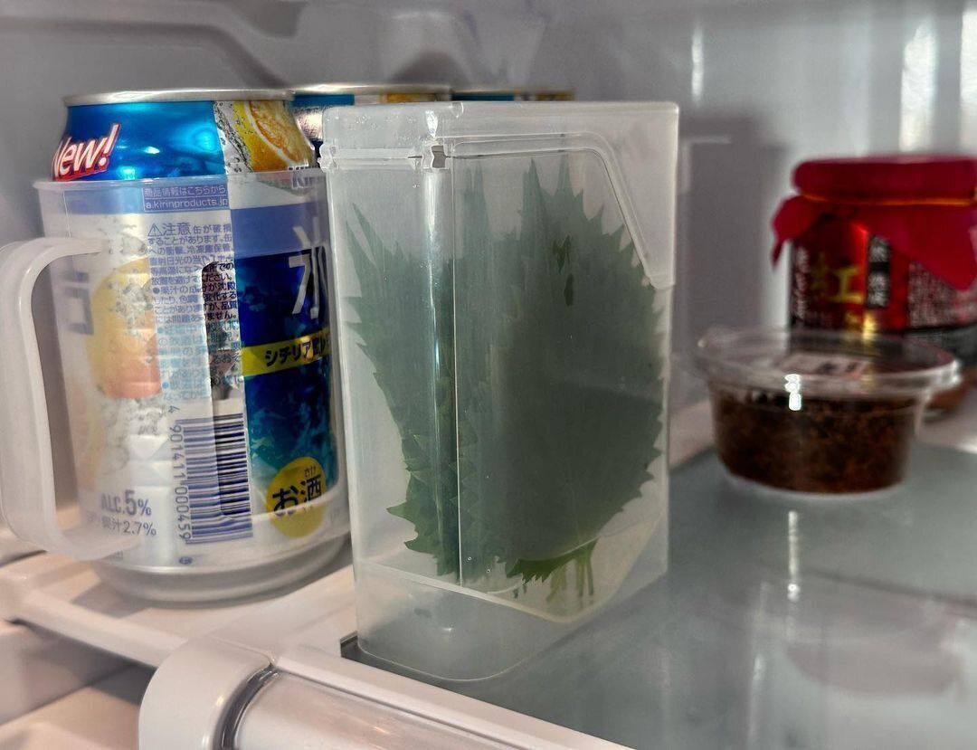 【セリア】余裕で長持ち!大葉保存ケース