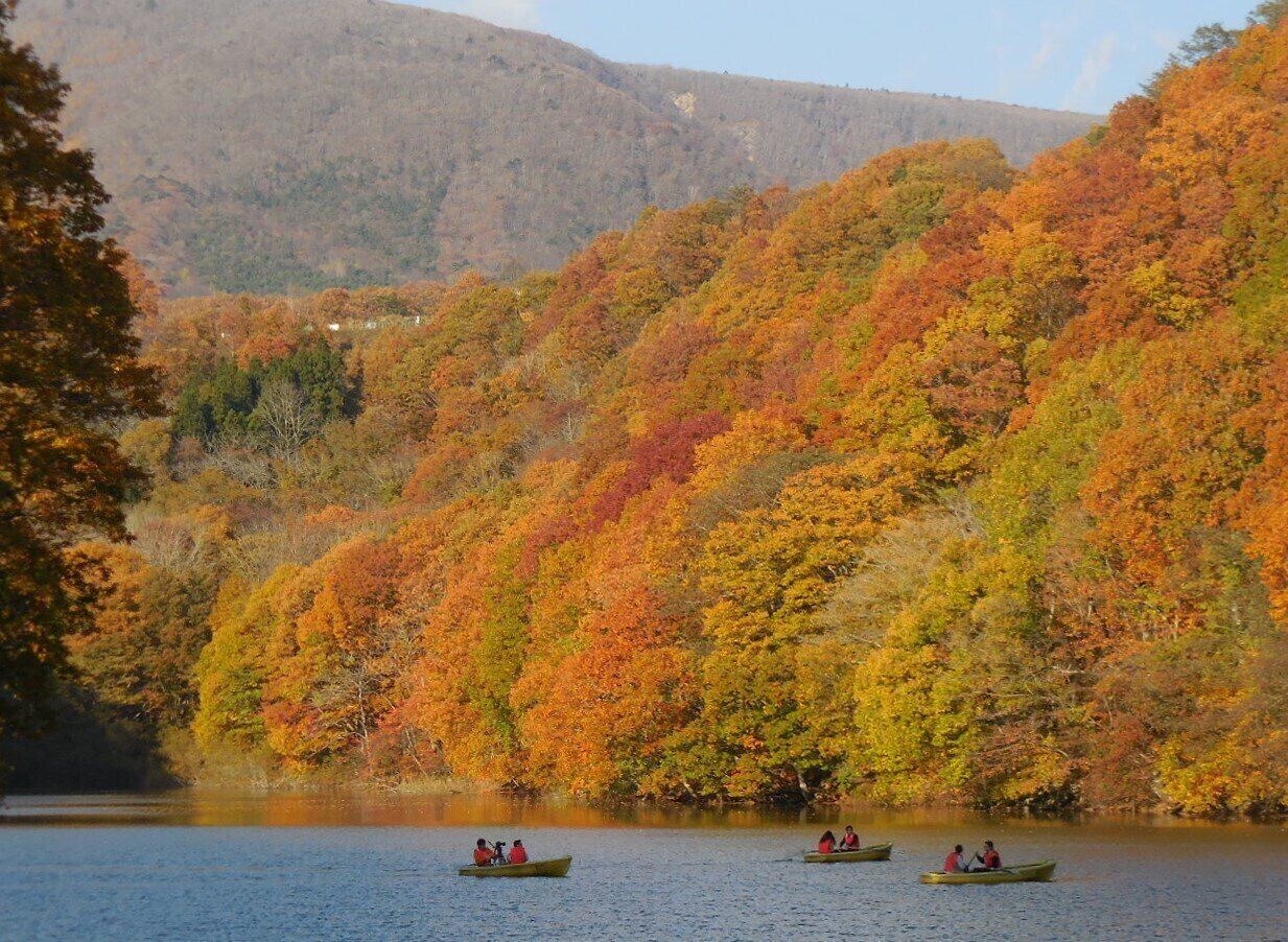 紅葉する湖とボート