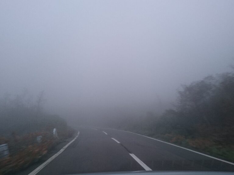 霧と雲は何が違うの？霧が出る日は何に注意すればいい？？気象予報士が解説