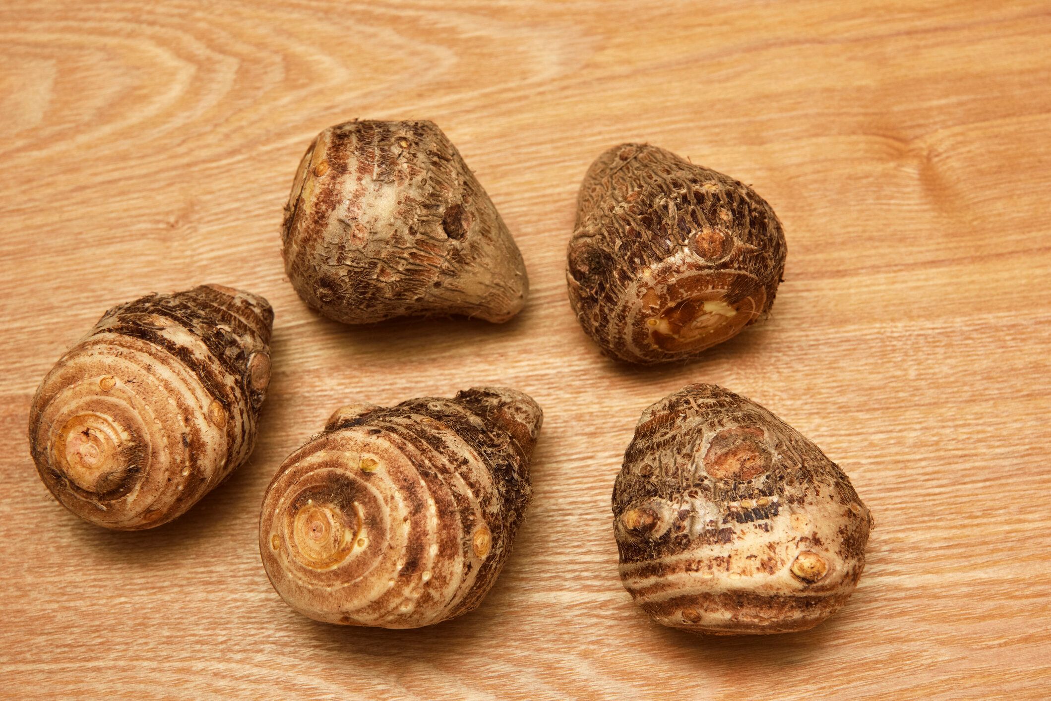 サトイモ(日本の太郎)