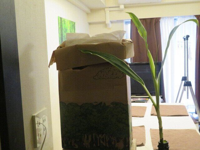 リビングがよく見えない