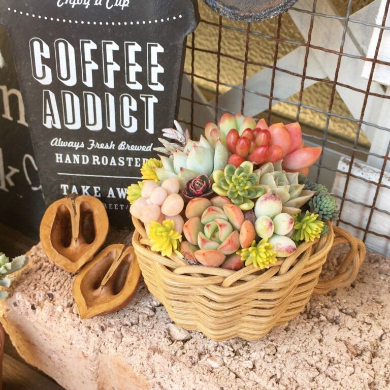 【自己紹介】はじめまして！築古賃貸暮らしを楽しむサンキュ！STYLEライターhikariです