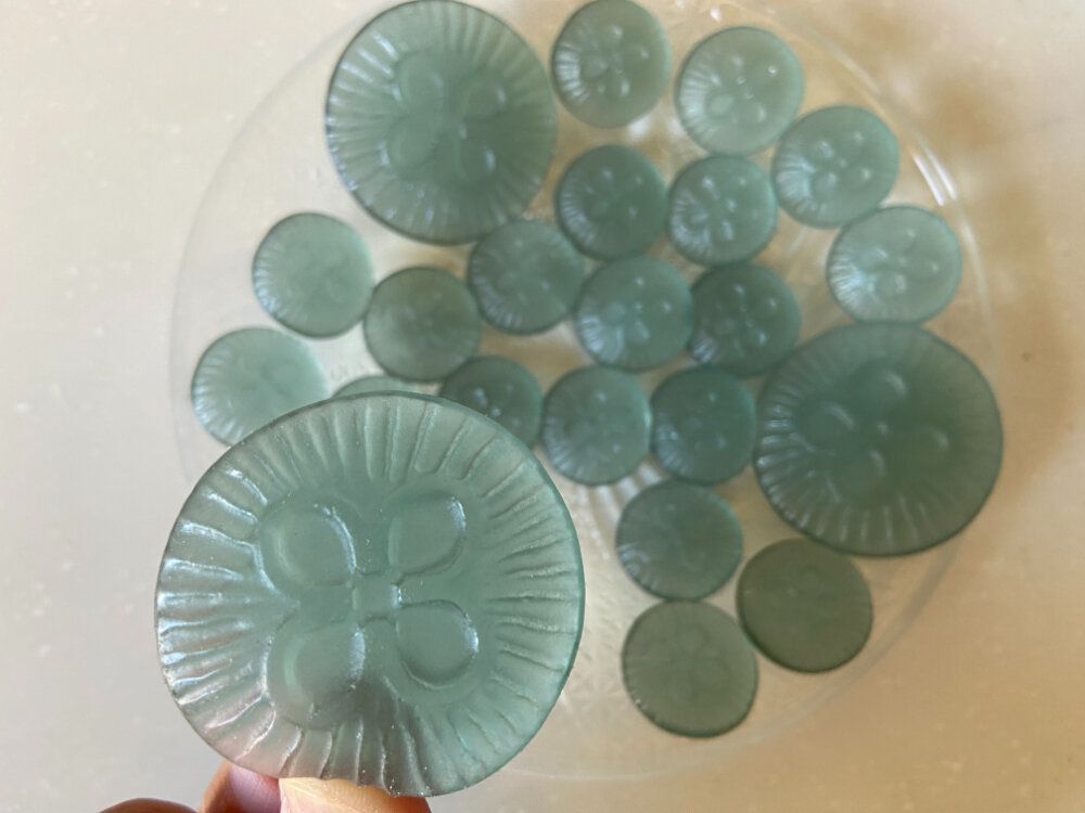 クラゲ手にとる