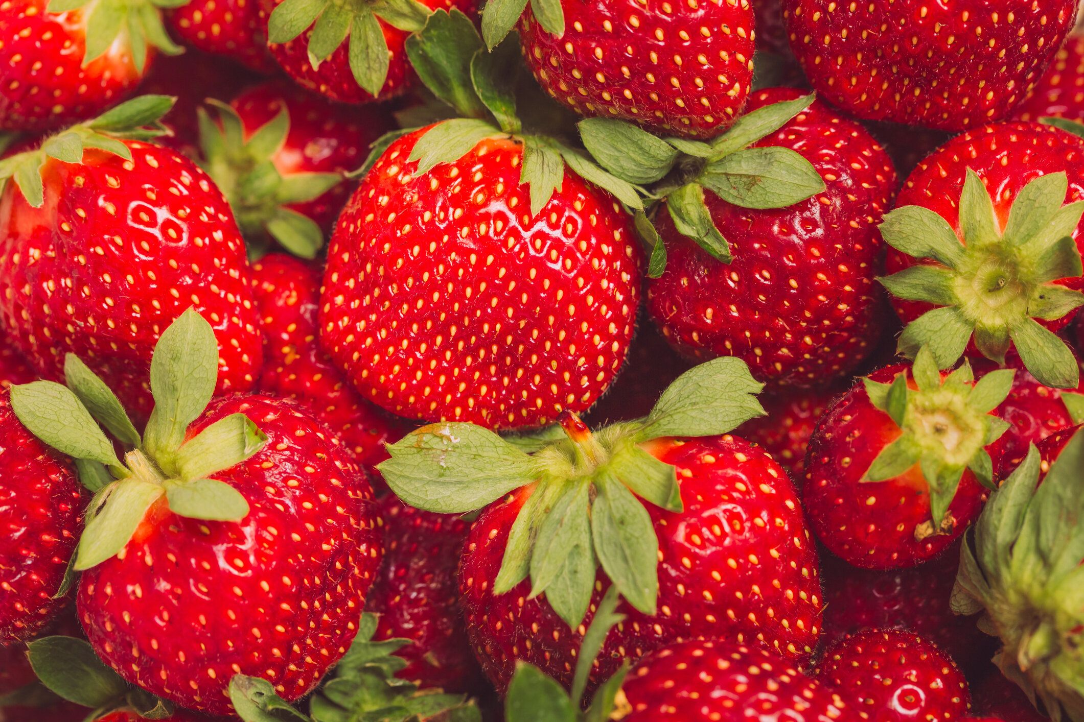 フレームを埋めるイチゴ