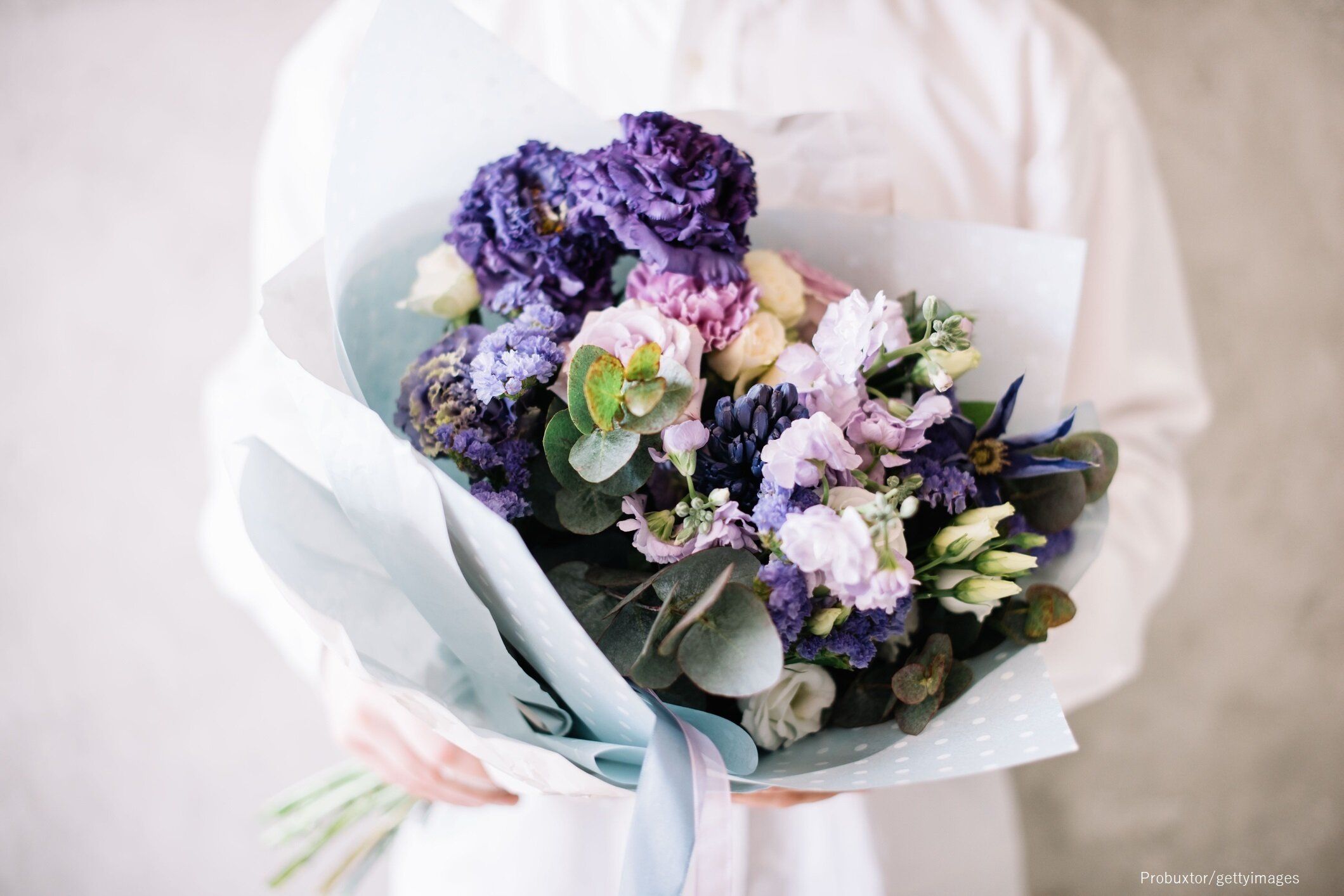 優しそうな画像