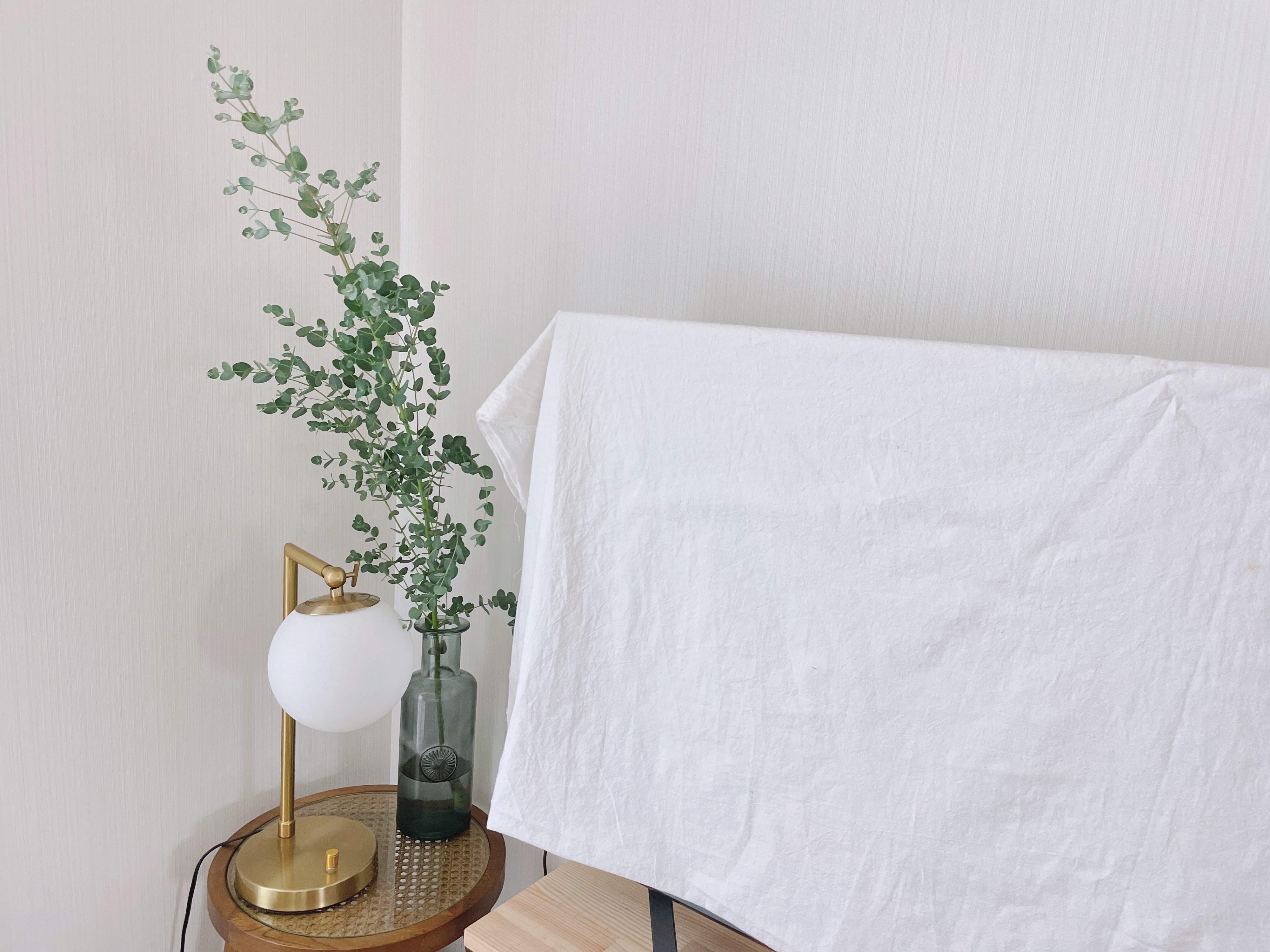 ワンコイン以下で買える植物を追加する