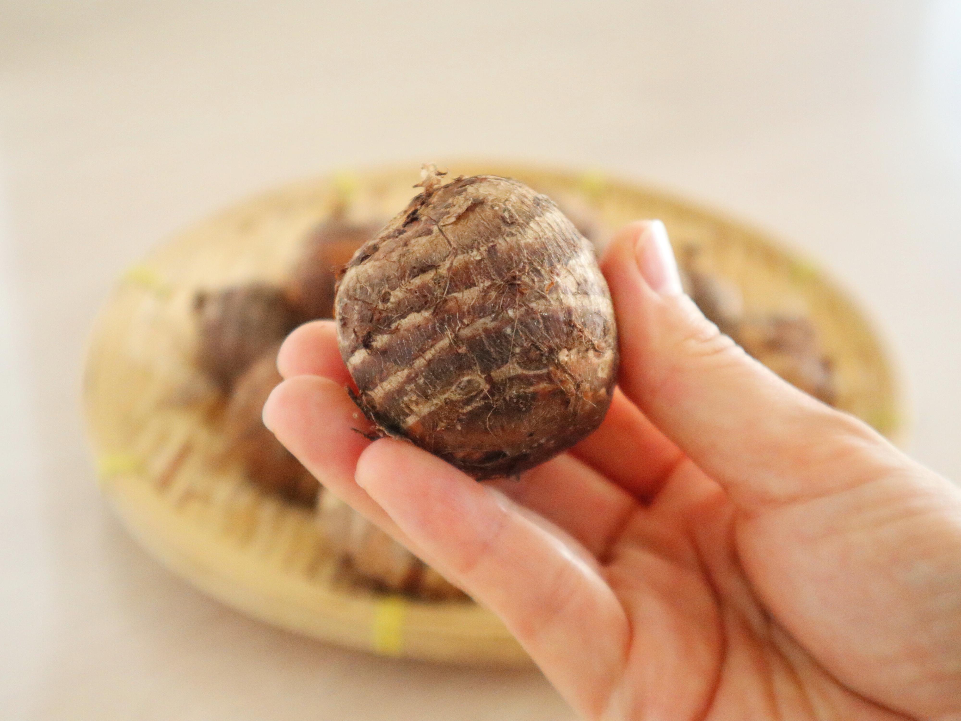 縞模様が並行ではっきりしている