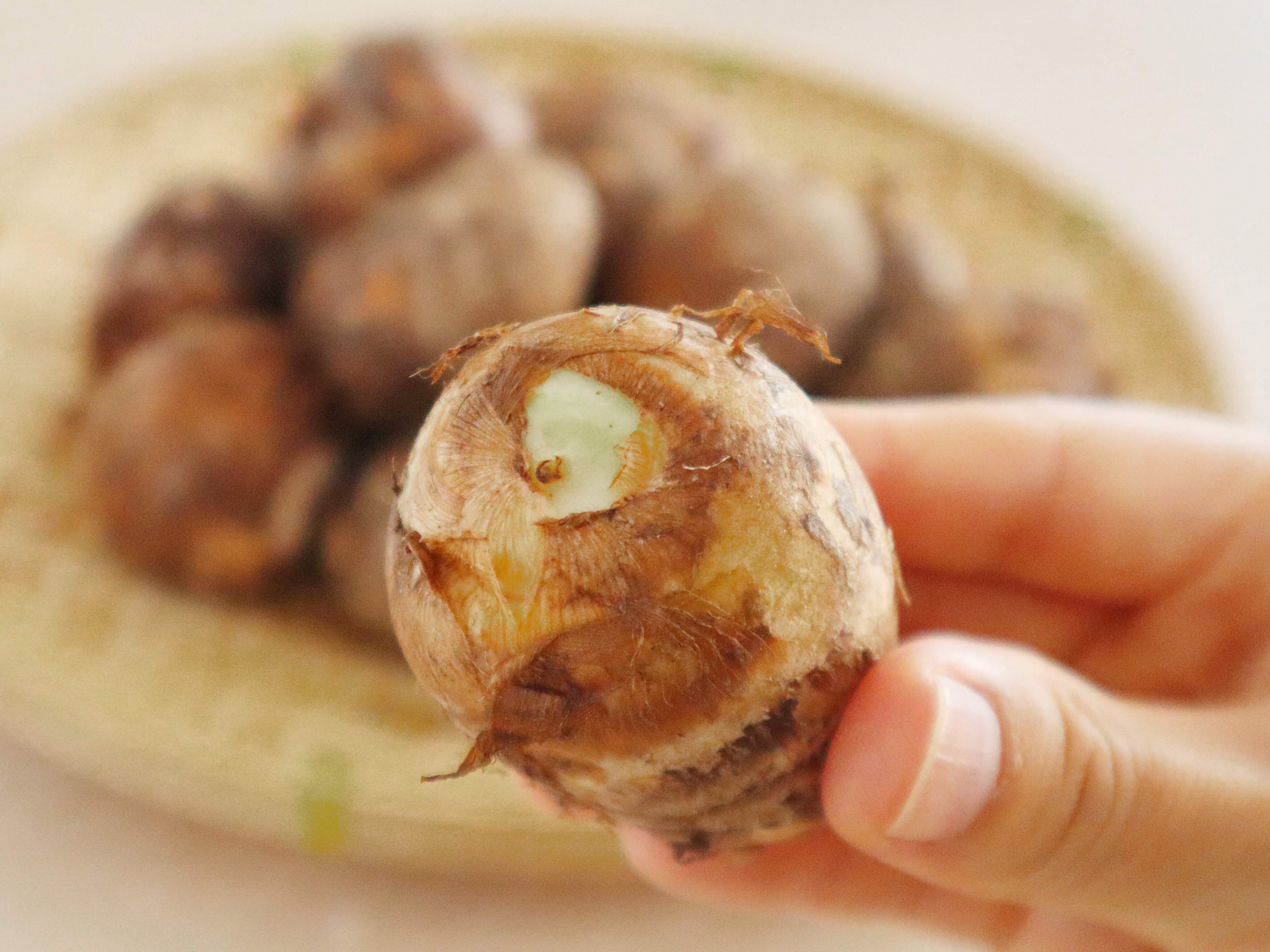 緑に変色しているものはNG