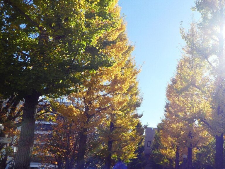 むくみの原因が重なる秋！早めの対処で快適にすごすヒントを食育インストラクターが解説