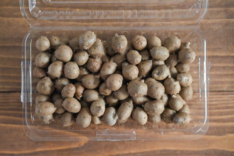 【旬食材】ほくほく食感にやみつき！「むかご」って知ってる？＆メイン食材「むかご」だけでつくれる簡単レシピ3選