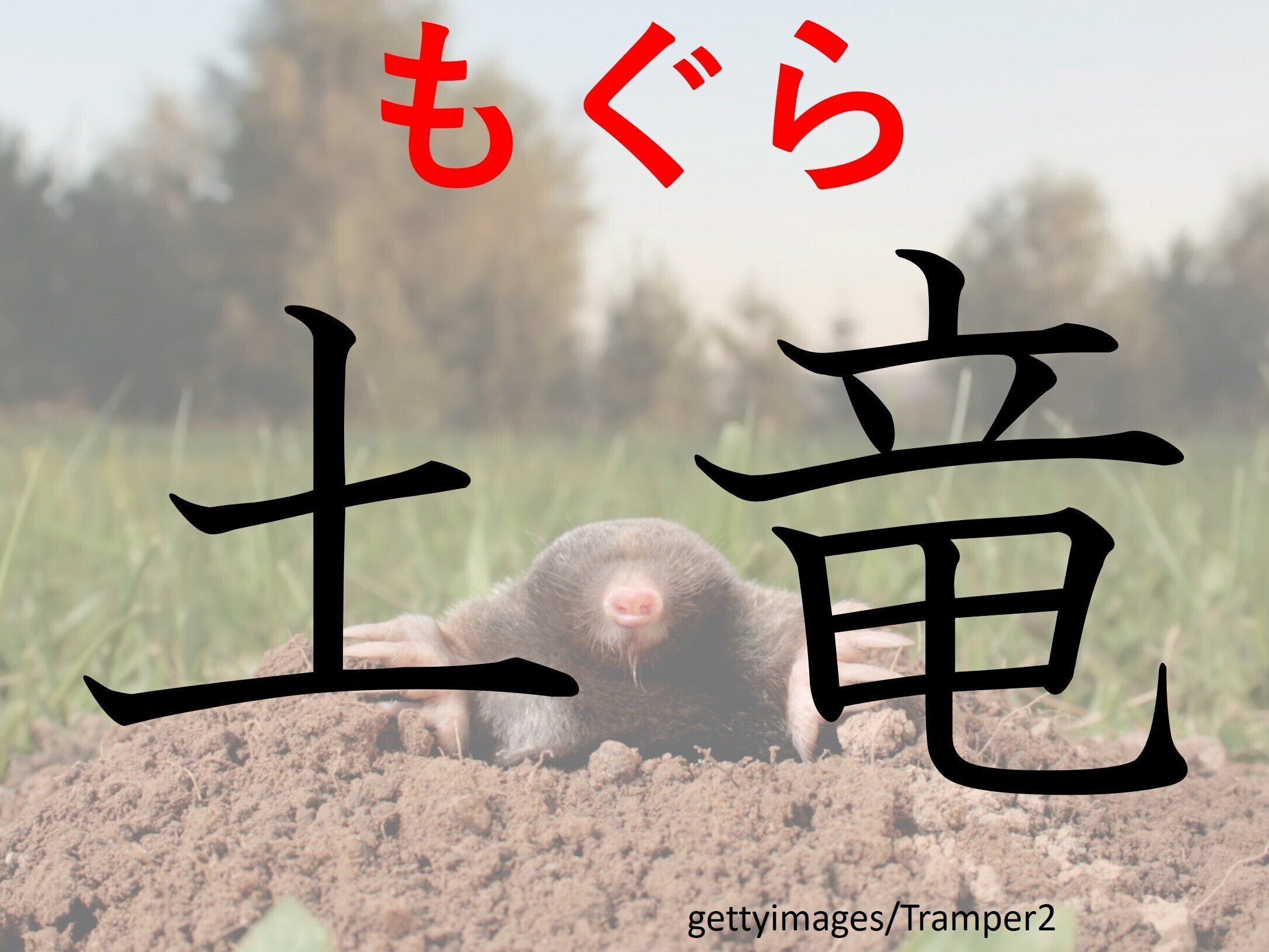 知っていると自慢できる！？難読漢字クイズ