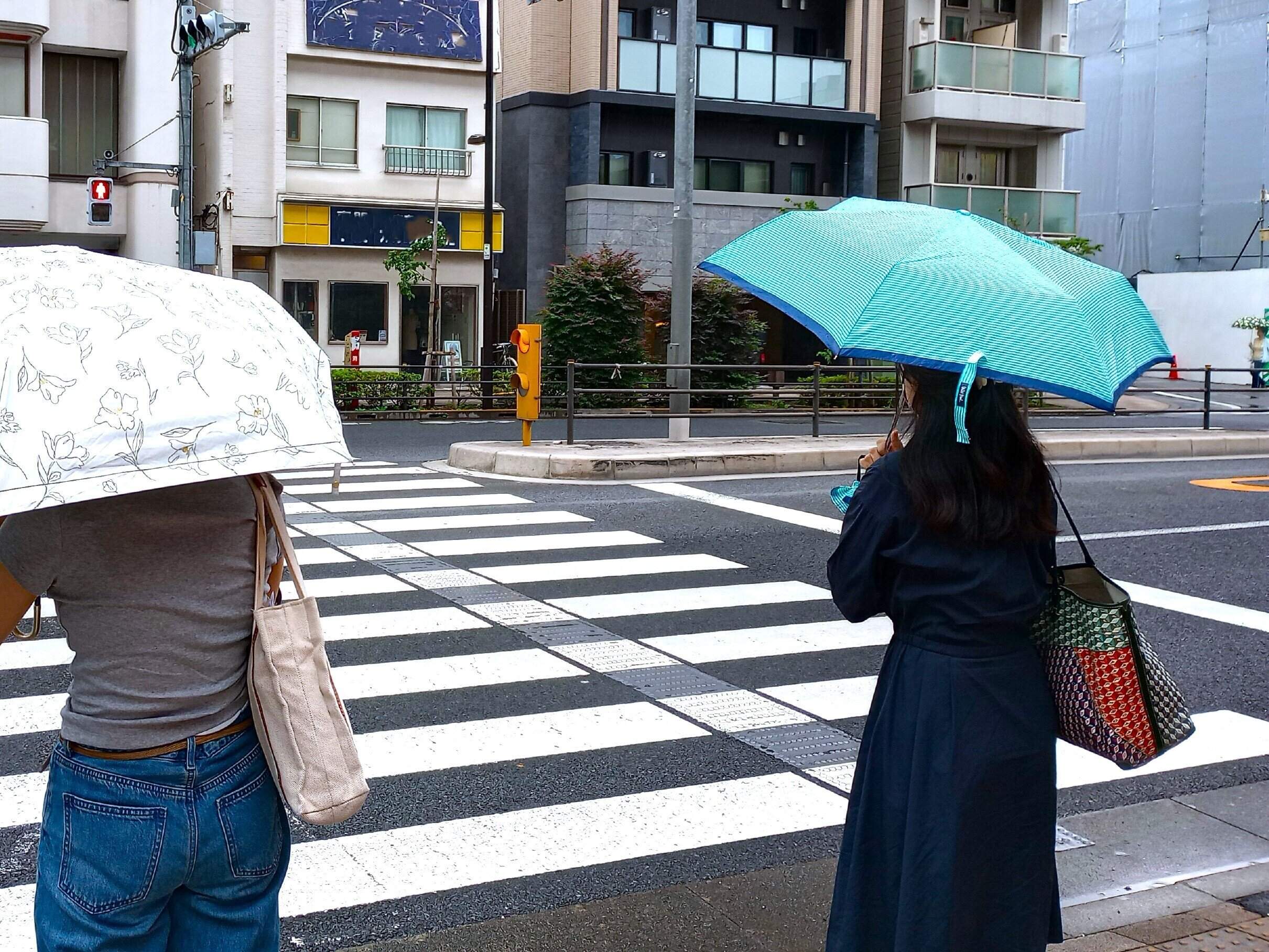 傘を差す人の後ろ姿