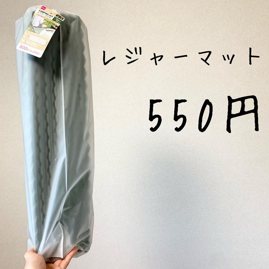 【100均】車中泊で役立つレジャーマットがダイソーなら550円