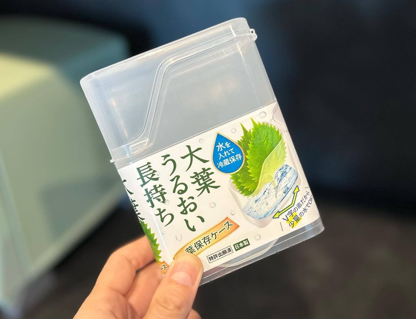 【セリア】悩んでいた大葉の保存方法が解決！「大葉保存ケース」