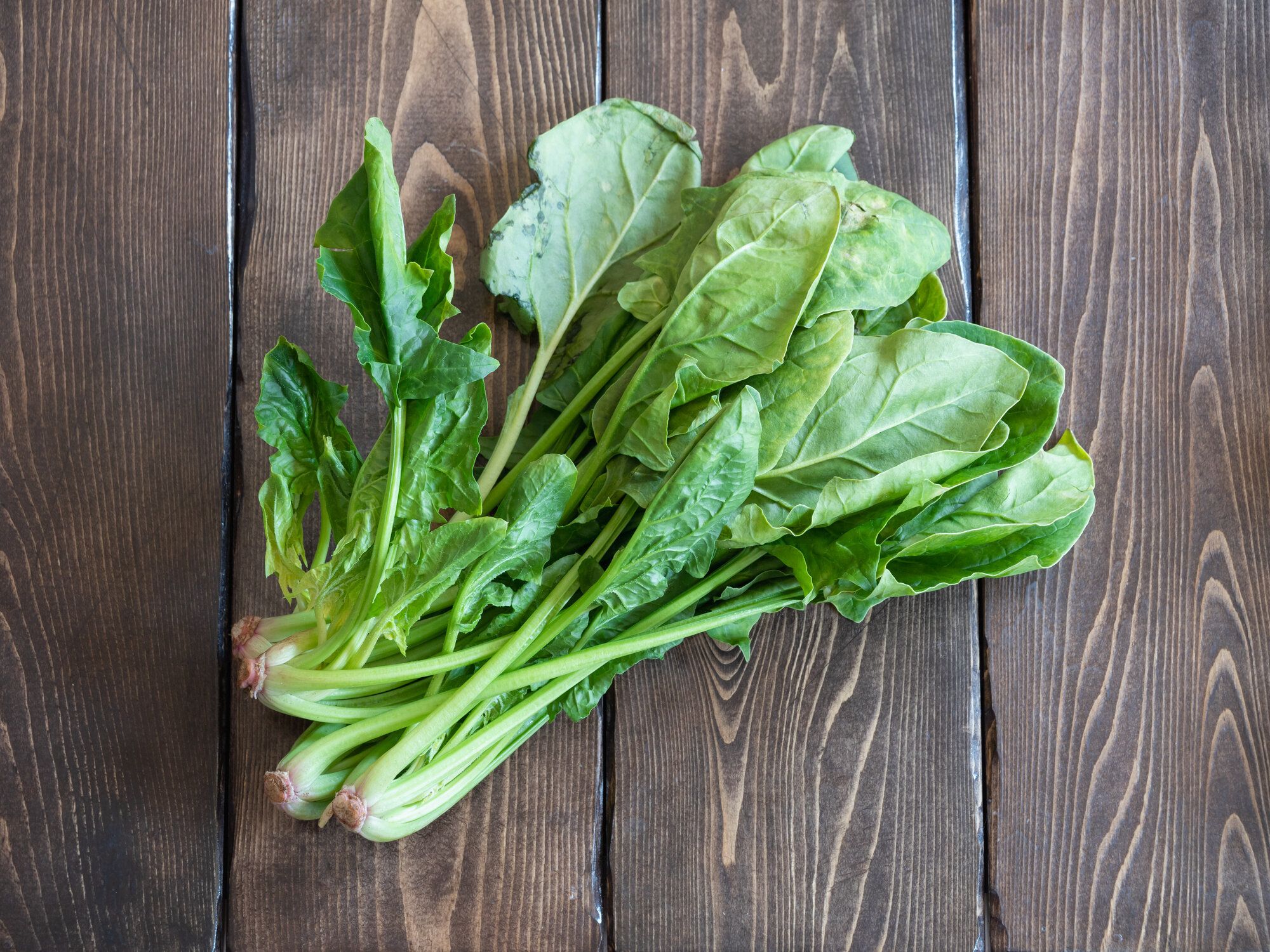 おいしい緑野菜ほうれん草。