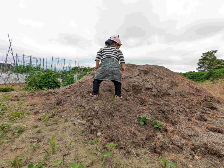 【自己紹介】食品ロスコンサルタントの佐々木麻衣です