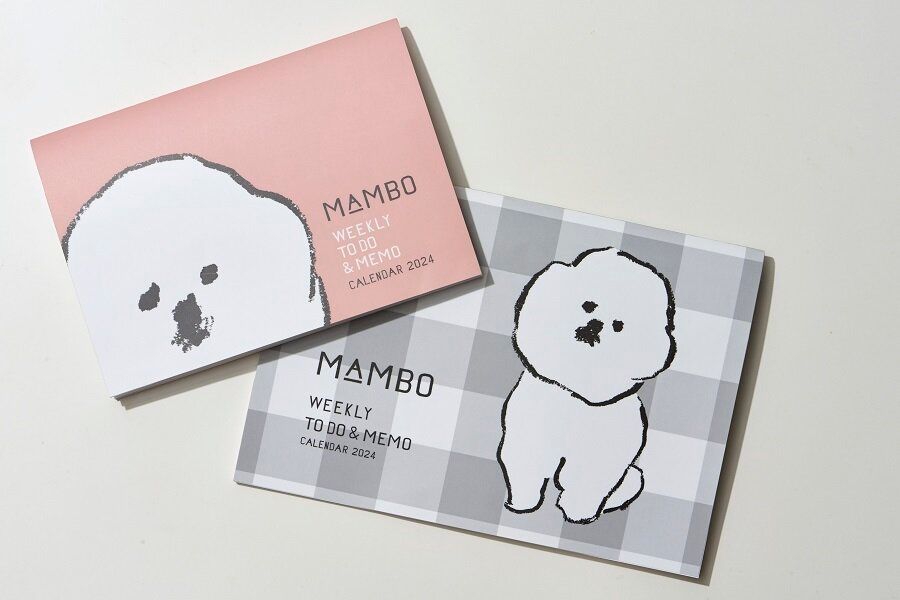 サンキュ!24年1月号別冊付録通常&ミニ